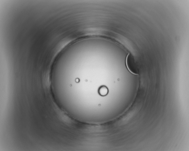 X0000114240885200910091506