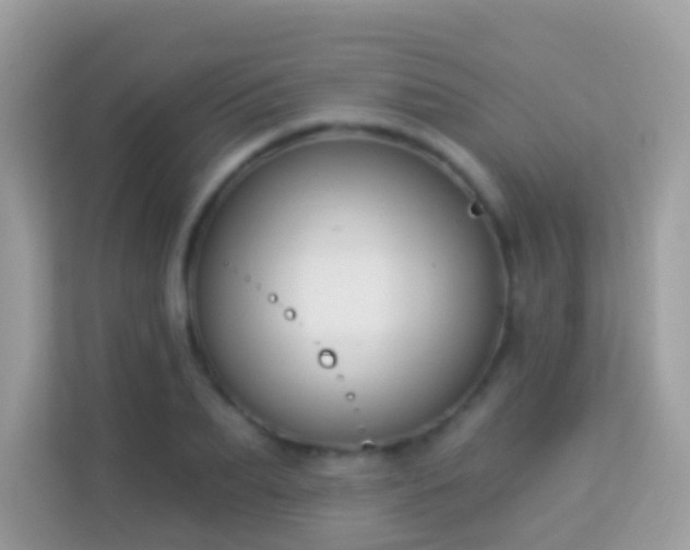 X0000114240887200910091506