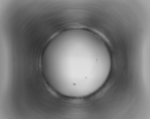 X0000114240889200910091506