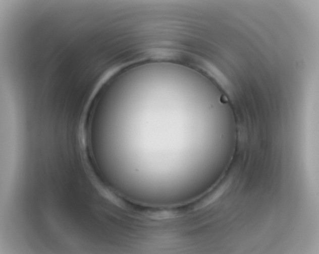 X0000114240891200910091506