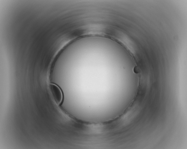 X0000114240893200910091506