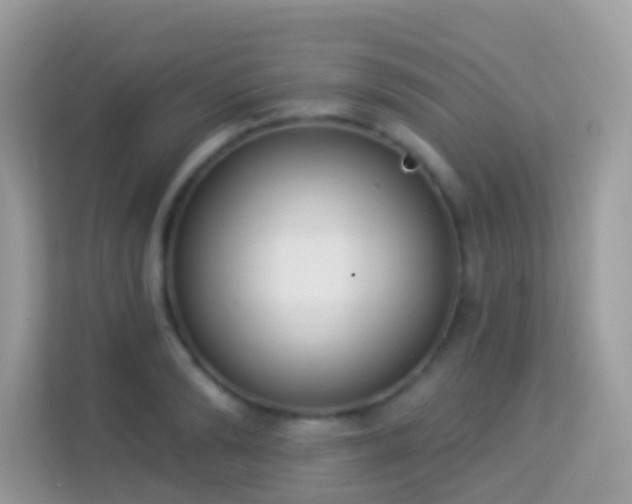 X0000114240894200910091506