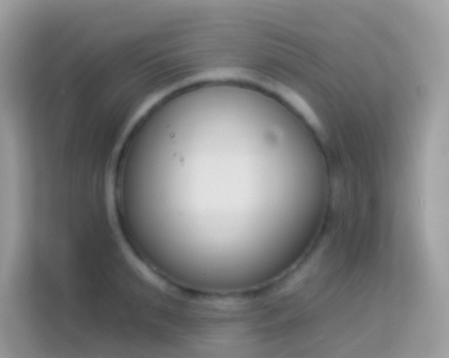 X0000114240895200910091506