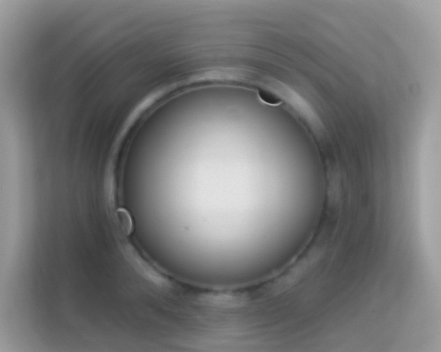 X0000114240896200910091506