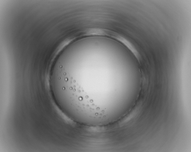 X0000114240901200910091506