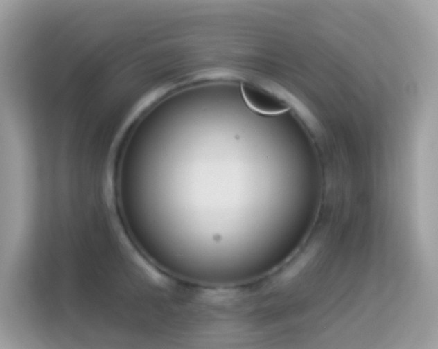 X0000114240902200910091506