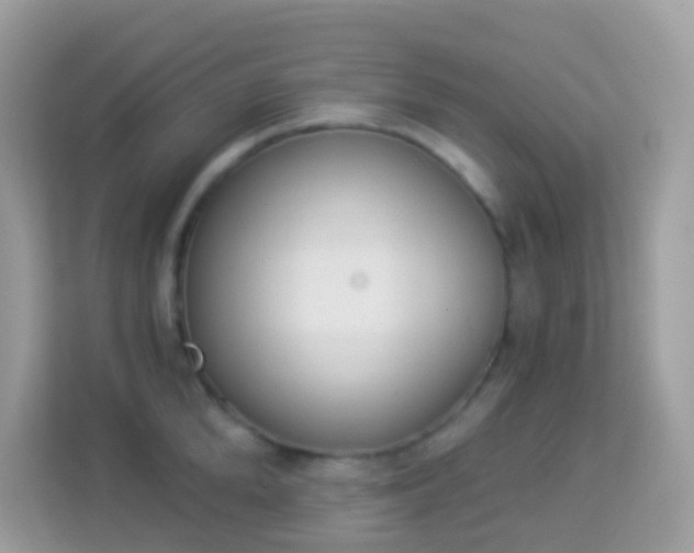 X0000114240904200910091506