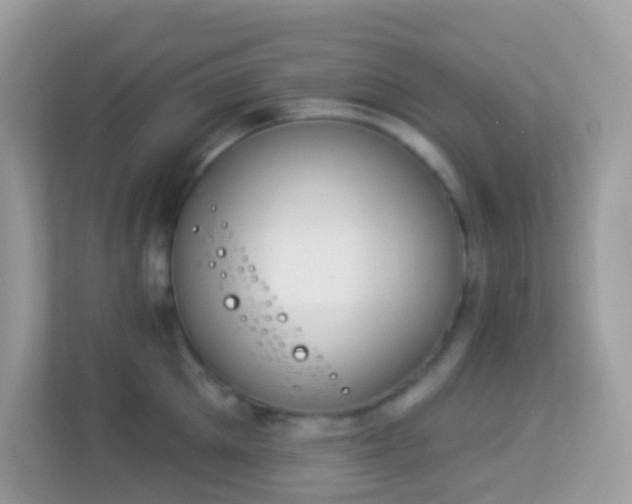 X0000114240905200910091506
