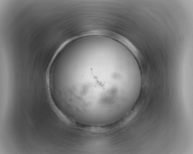X0000114240907200910091506