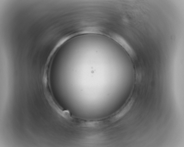 X0000114240908200910091506