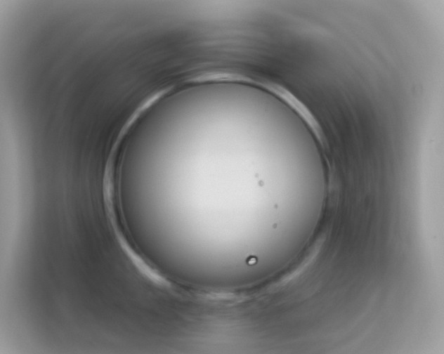 X0000114240909200910091506