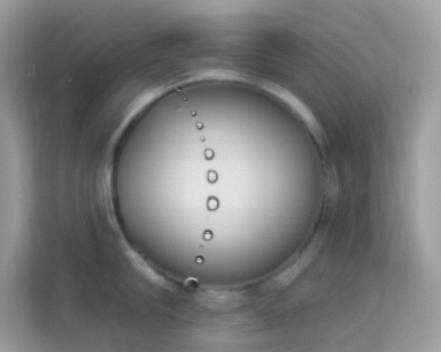 X0000114240910200910091506