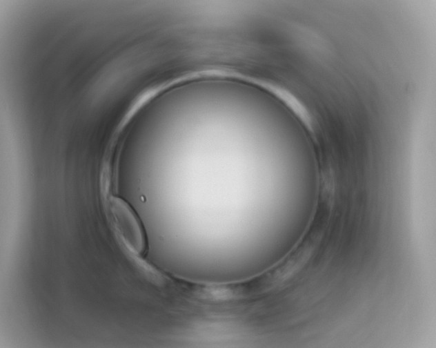 X0000114240911200910091506