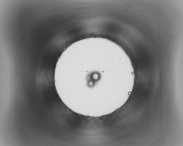 X0000114240918200910091505
