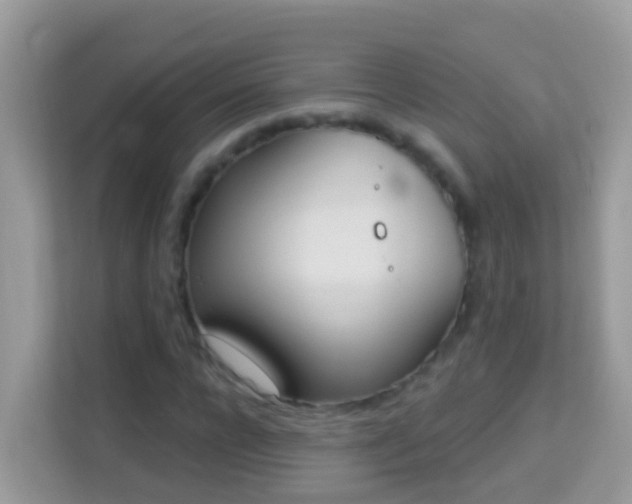 X0000114240920200910091505