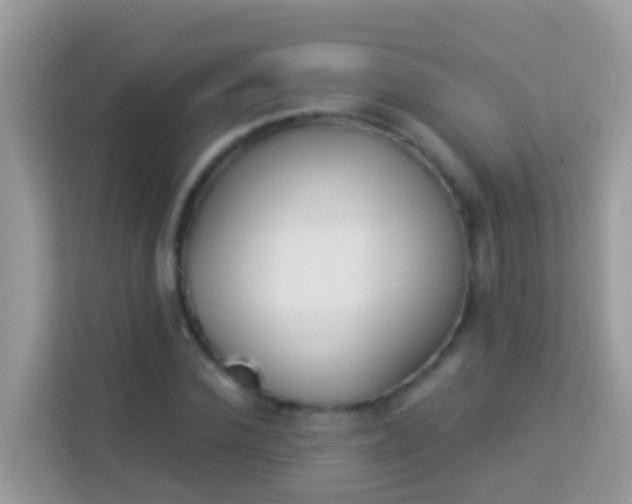 X0000114240924200910091505
