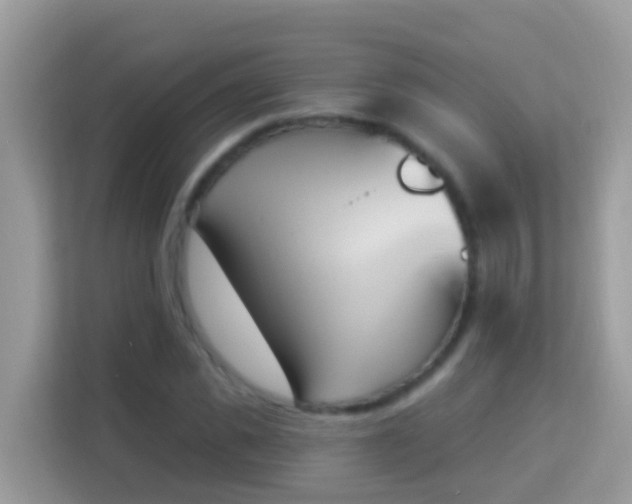 X0000114240925200910091505