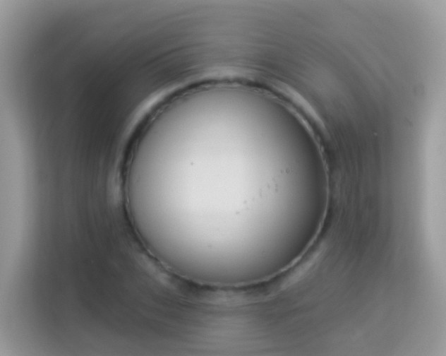 X0000114240927200910091506