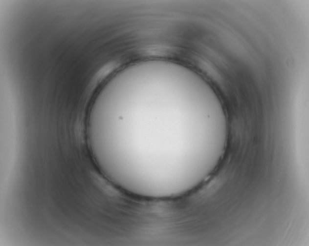 X0000114240930200910091506