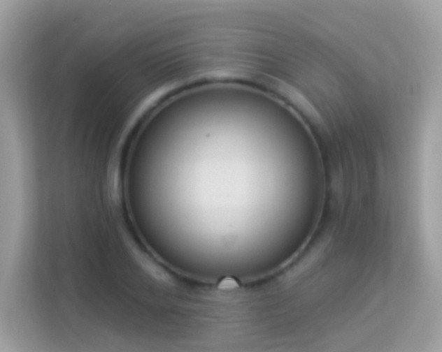 X0000114240934200910091506