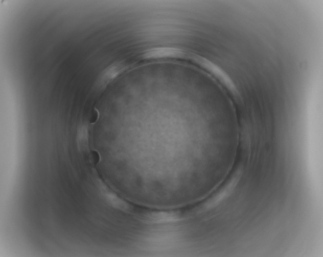 X0000114240937200910091506