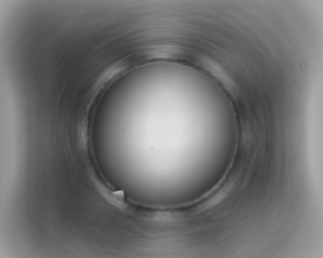 X0000114240938200910091506