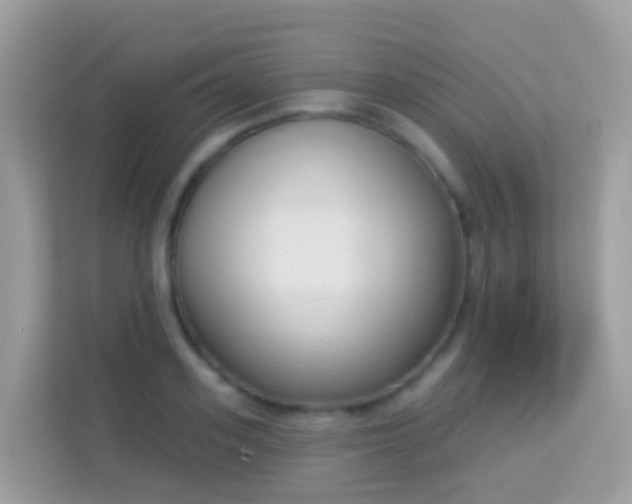 X0000114240939200910091506