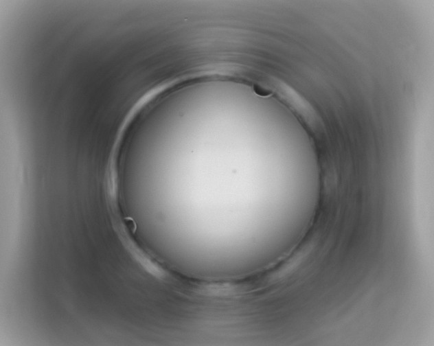 X0000114240940200910091506