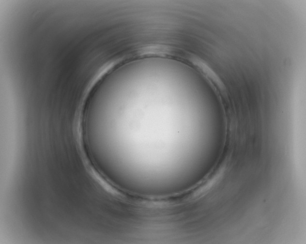 X0000114240941200910091506