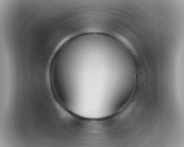 X0000114240942200910091506