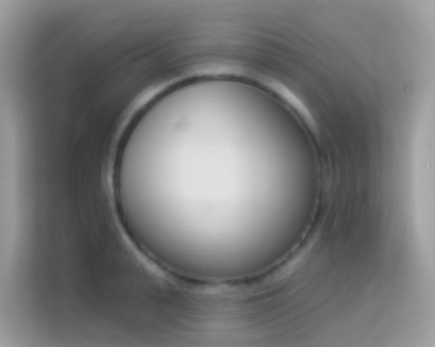 X0000114240943200910091506