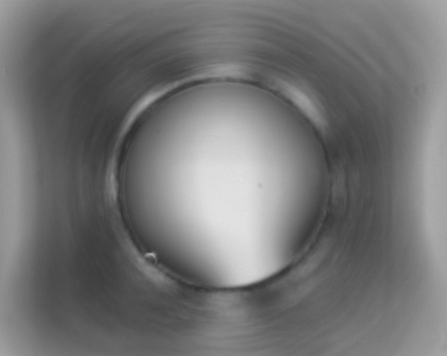 X0000114240944200910091506