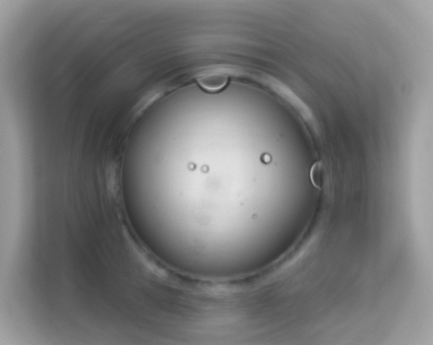 X0000114240945200910091506