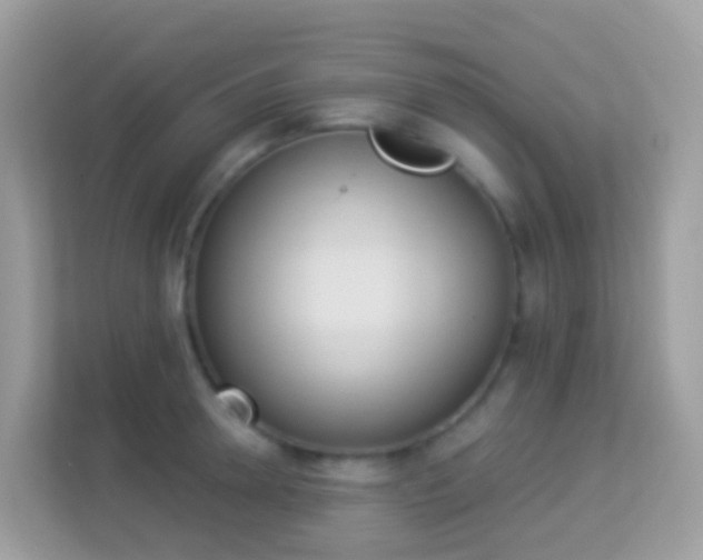 X0000114240946200910091506