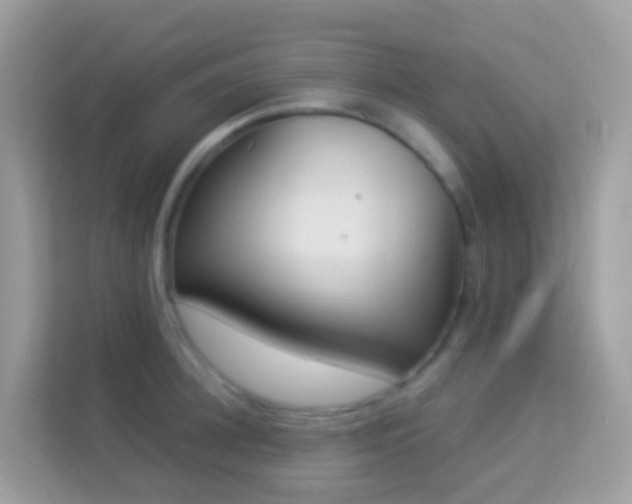 X0000114240948200910091506