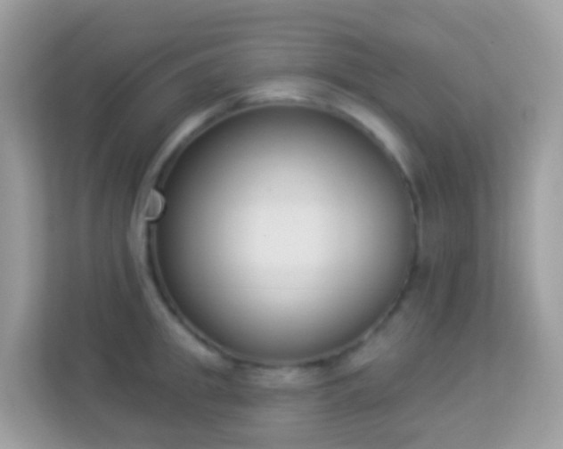 X0000114240949200910091506
