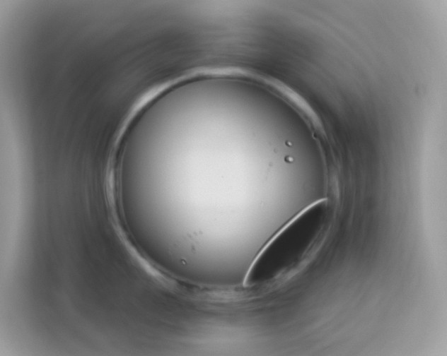 X0000114240959200910091506