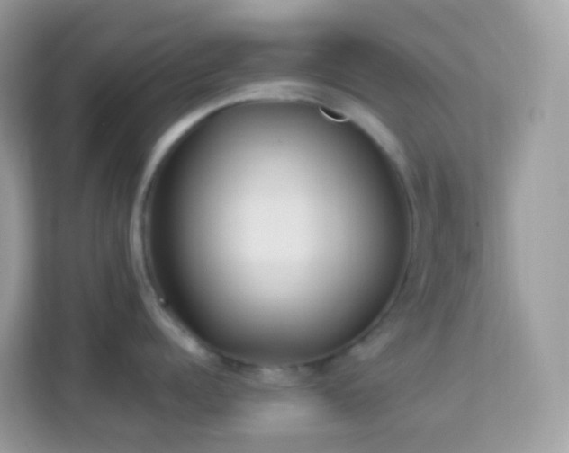 X0000114240960200910091506