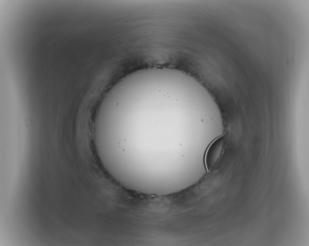 X0000114240961200910091505