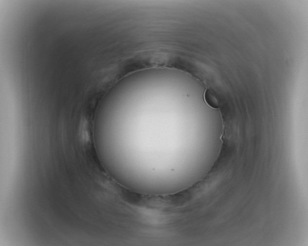 X0000114240962200910091505