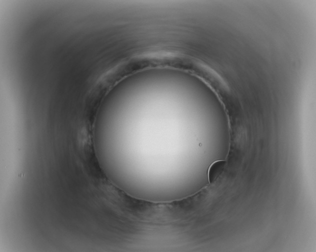 X0000114240966200910091505