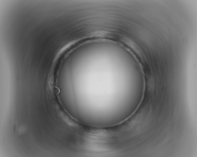 X0000114240971200910091505