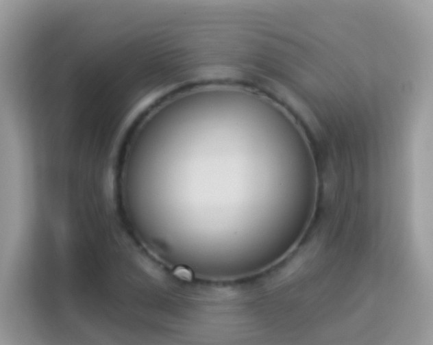 X0000114240975200910091505
