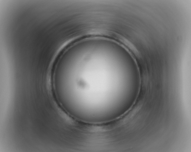 X0000114240976200910091505
