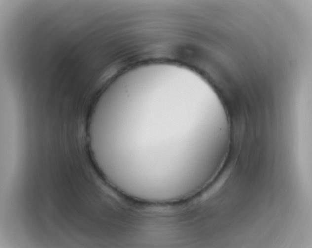 X0000114240977200910091505