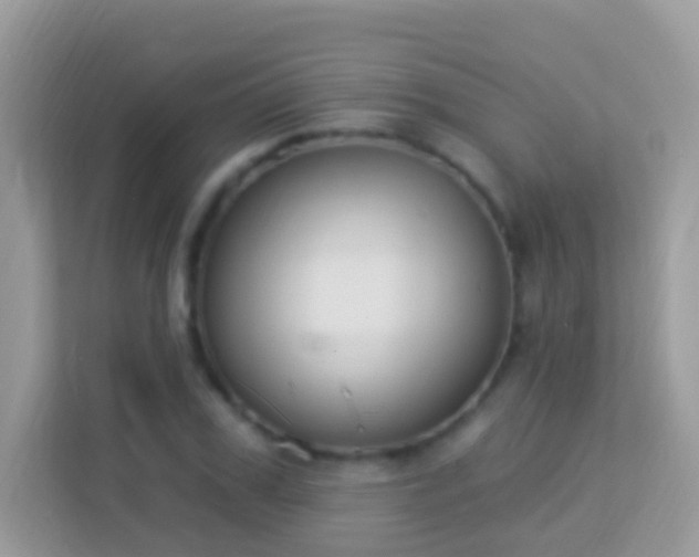 X0000114240979200910091505