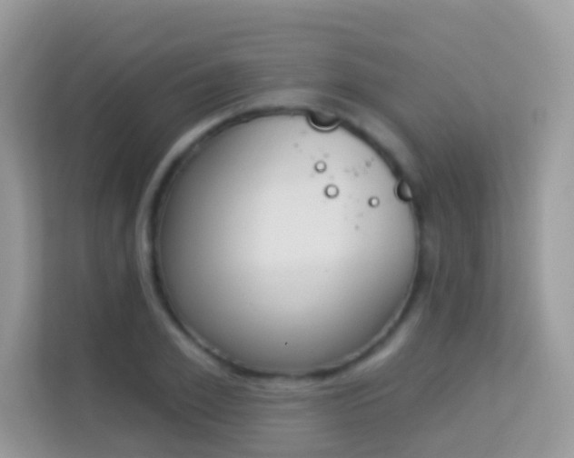 X0000114240981200910091505