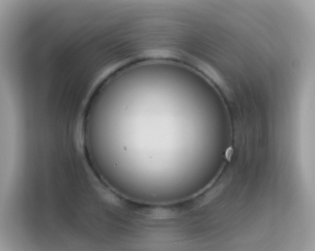X0000114240984200910091505