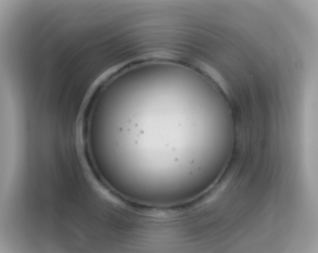 X0000114240987200910091505
