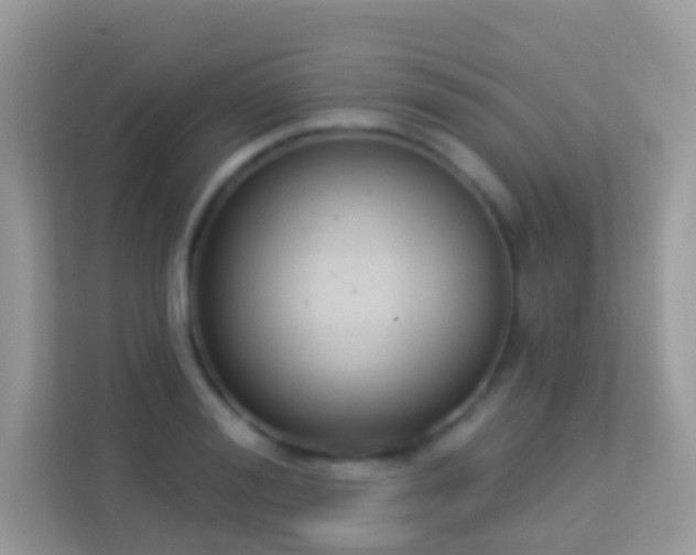 X0000114240988200910091505